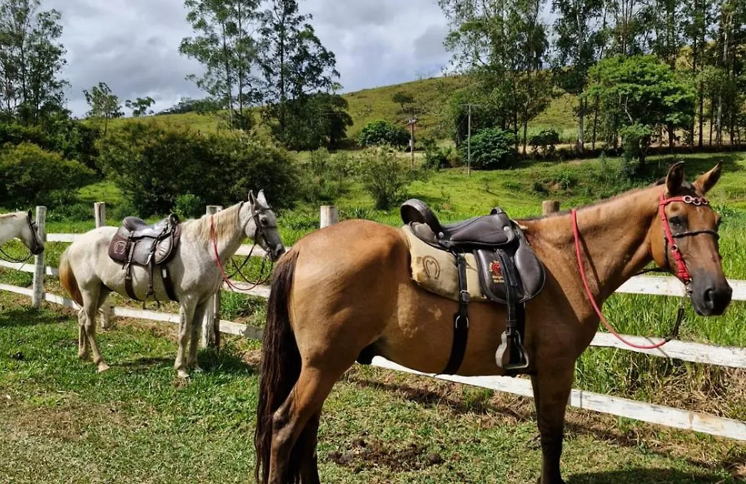 Pousada Fazenda e Pesqueiro Chalé da serra-1