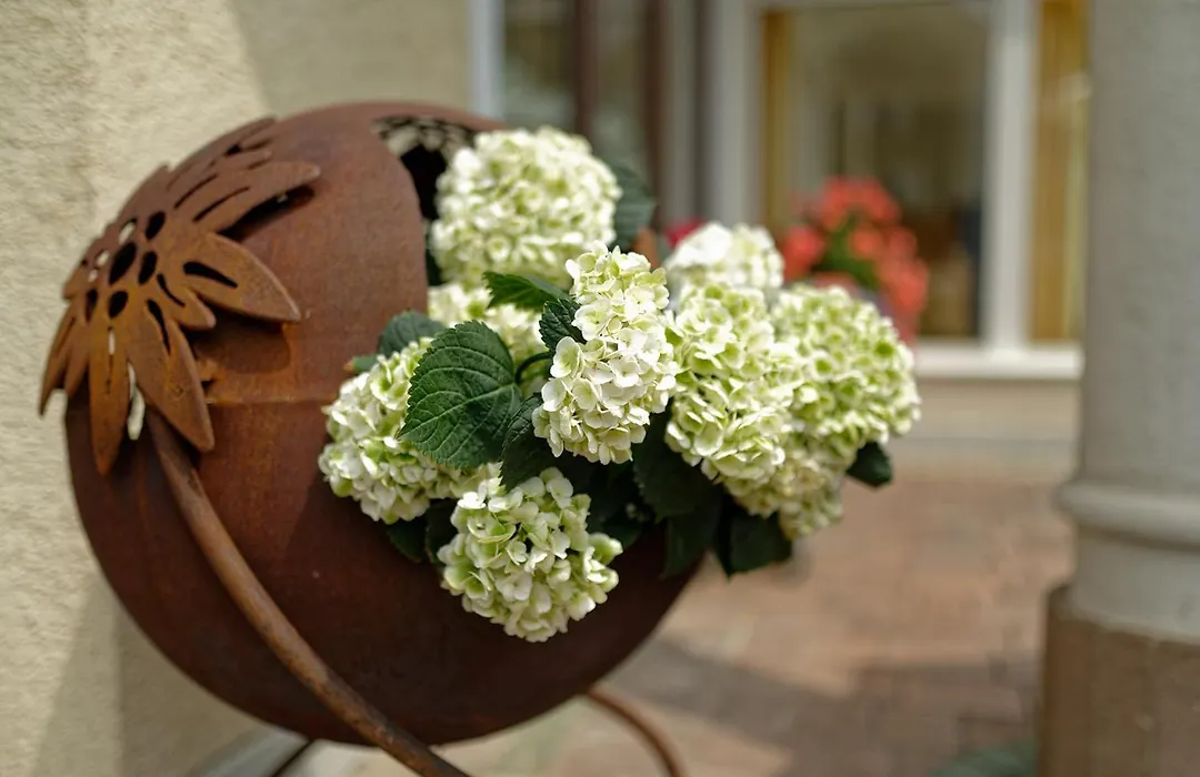 Hotel Edelweiss-1