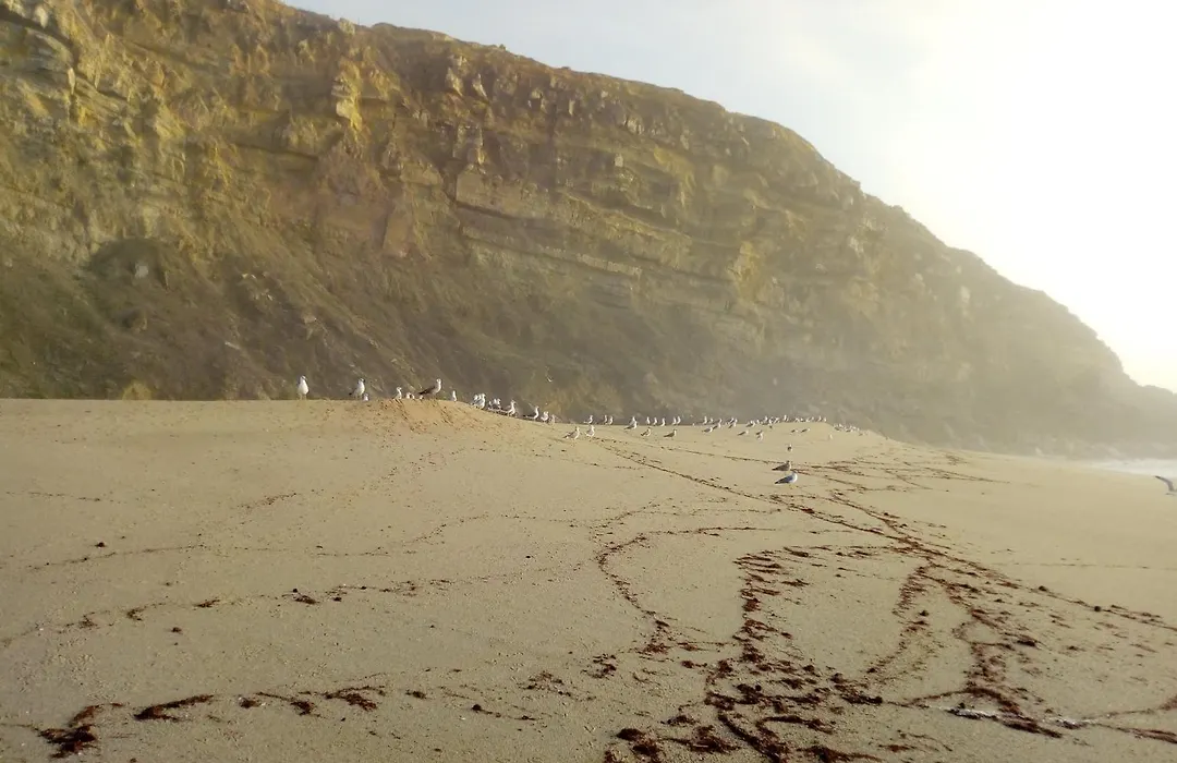 Arthouse Surf Ericeira-1