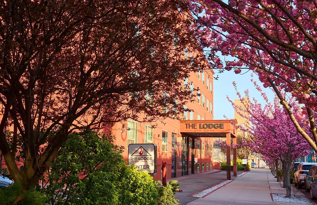 The Lodge Red Hook-1