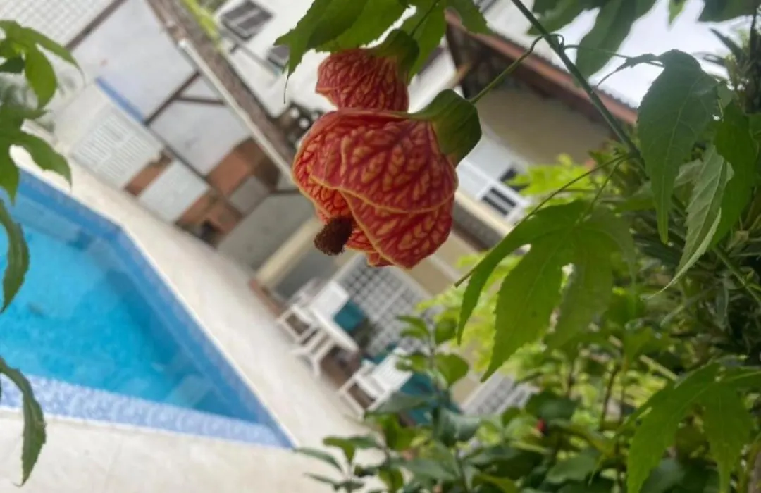 Pousada do Tio Cido-1