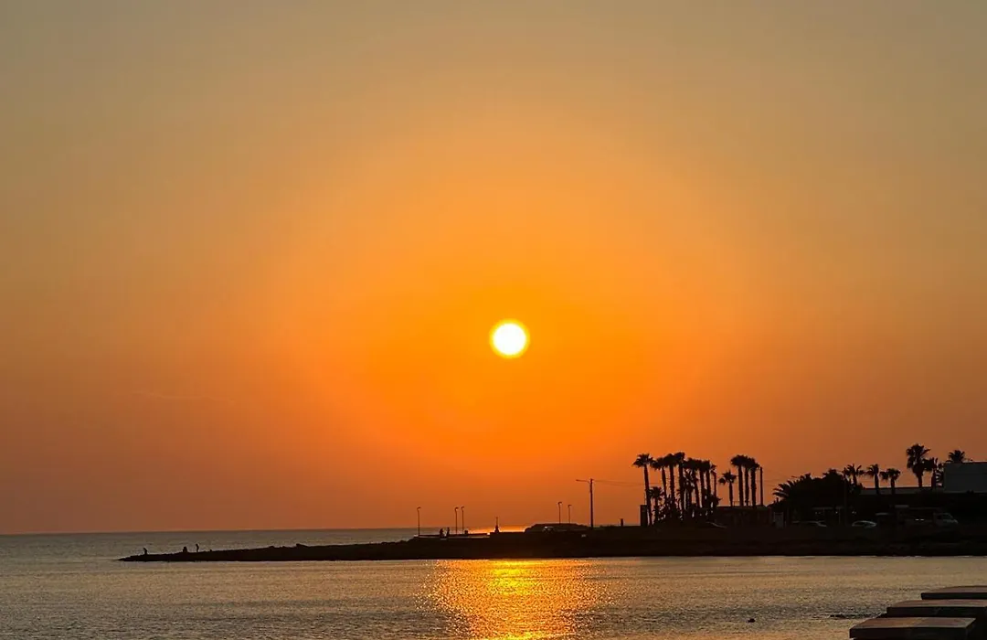 Dimora Il Girasole-1