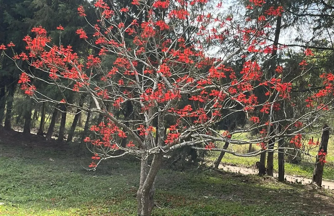 Pousada Pe Na Terra Em Guararema-1