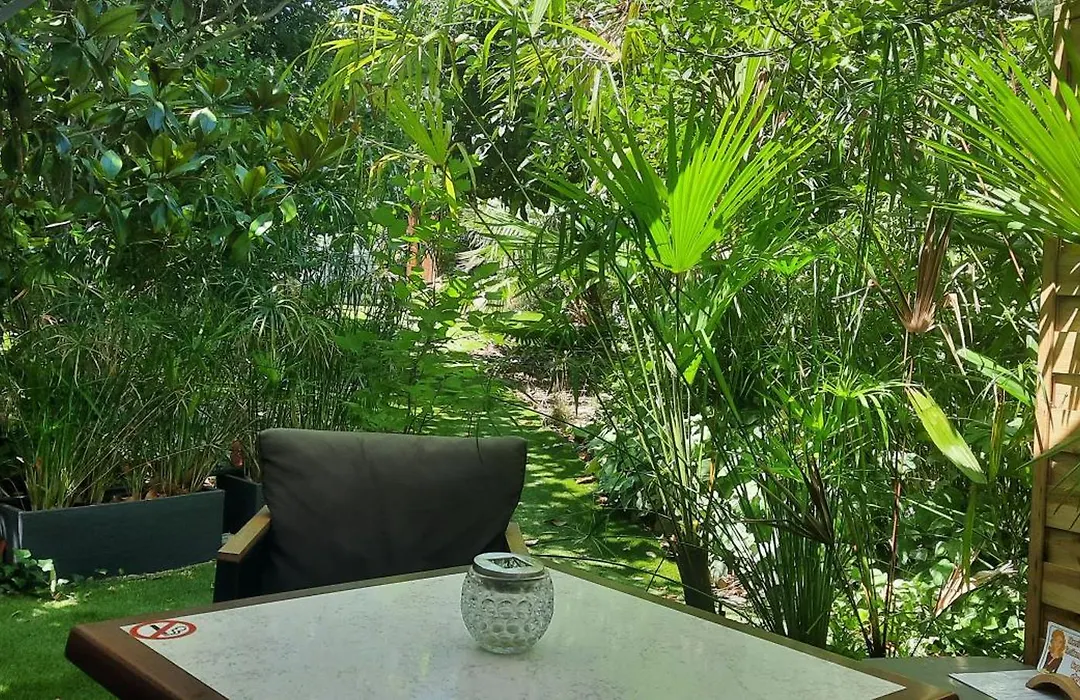 La Palmeraie-1