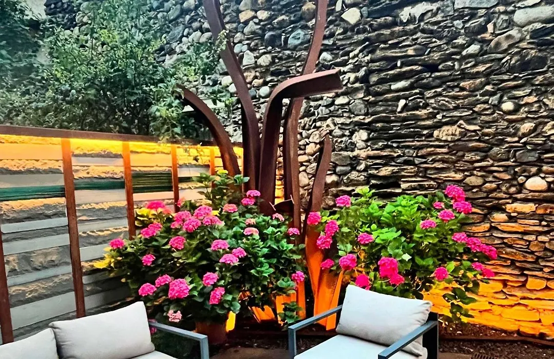 Hotel Boutique La Neu-1