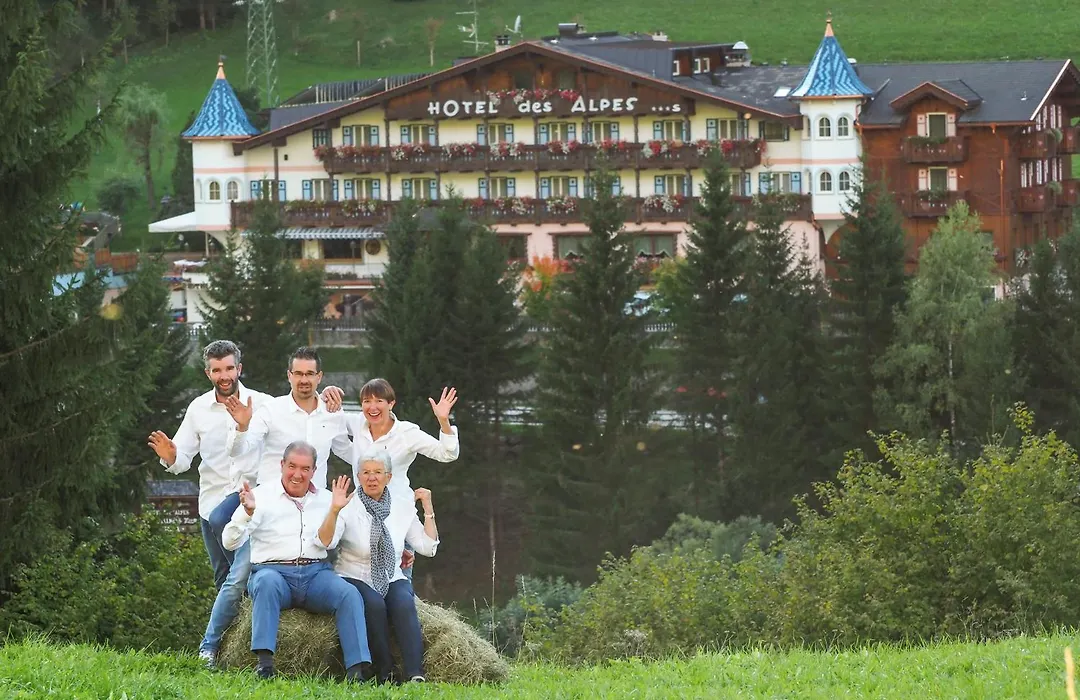 Hotel Des Alpes-1