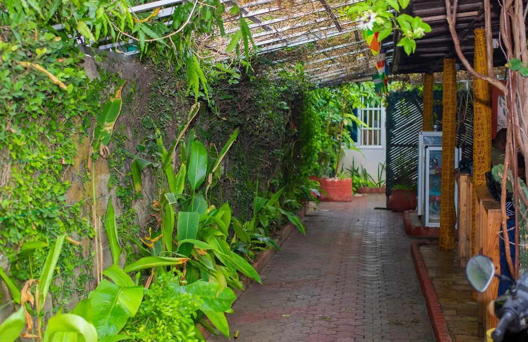 Residence Ivoire Cotonou-1