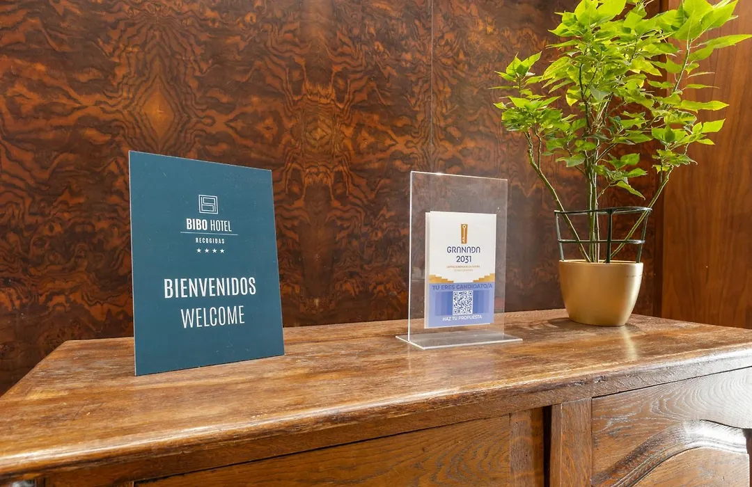 BIBO Hotel Recogidas-1