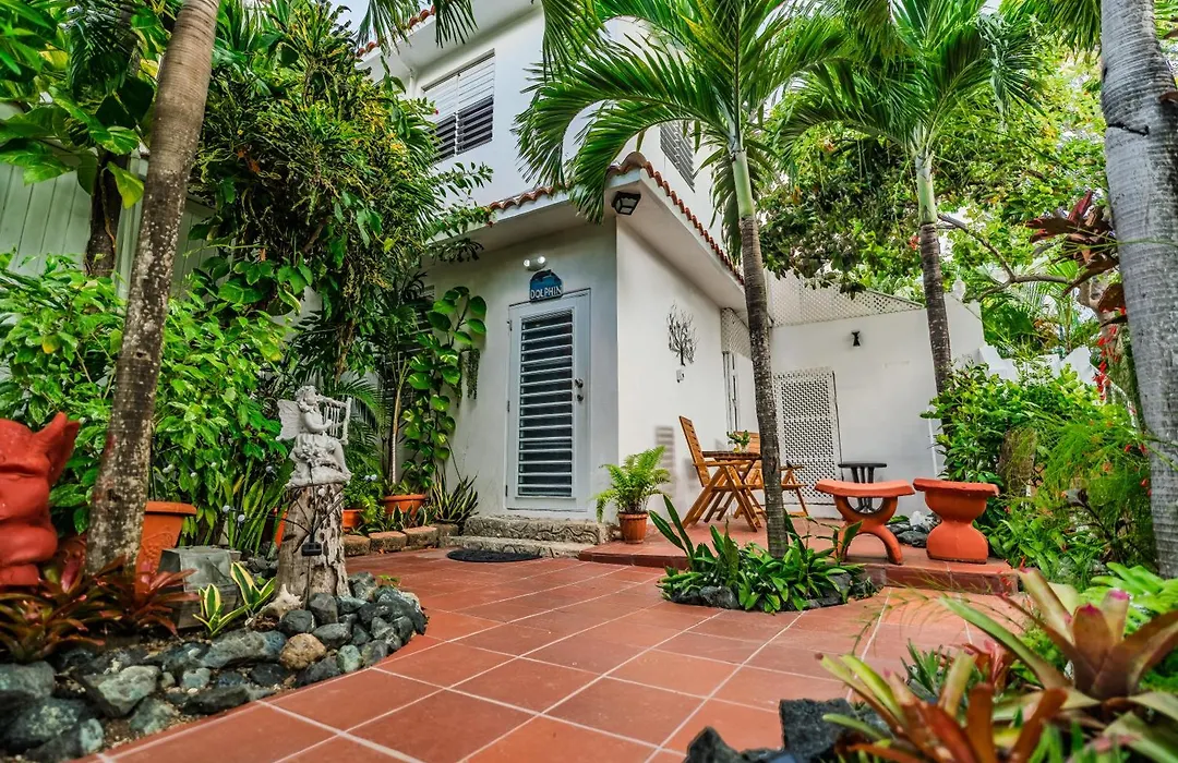 Coconut Palms Inn-1