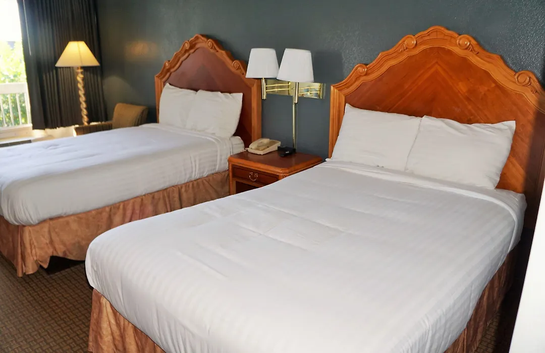 Hotel Elev8-1