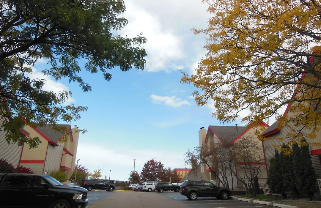 Birch Hill Suites Grand Rapids-1