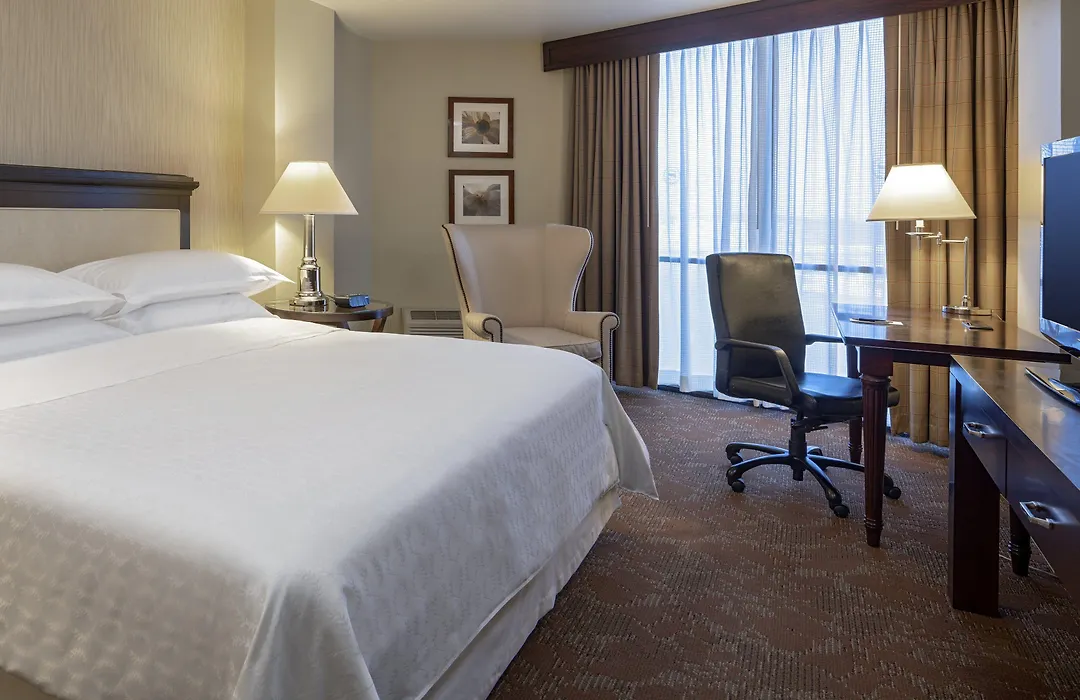 Sheraton Houston Brookhollow Hotel-1