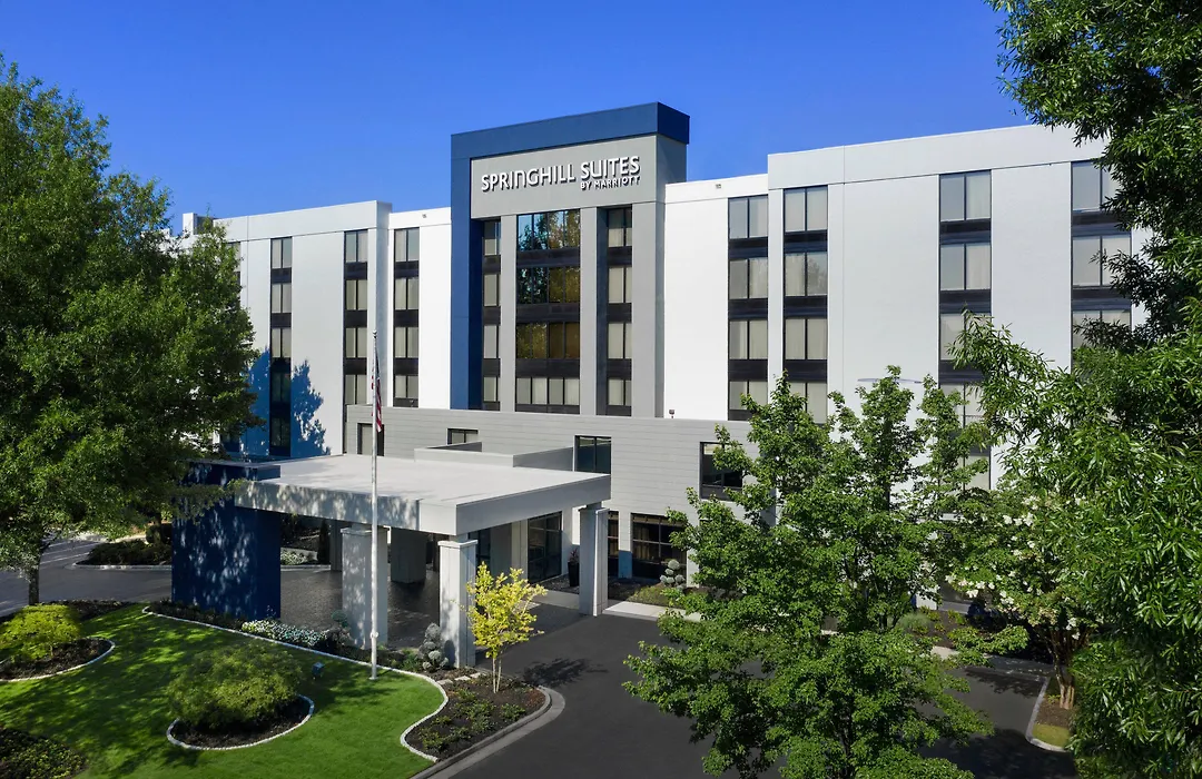 Springhill Suites By Marriott Atlanta Perimeter Center-1