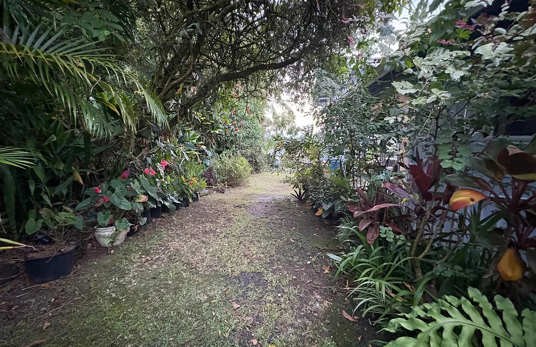 Hawaiian Ohana Home-1