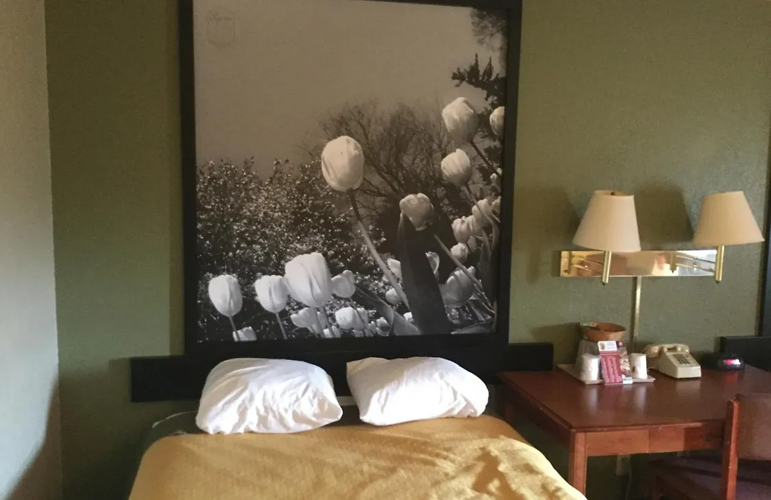 Super 8 By Wyndham Youngstown/Austintown-1