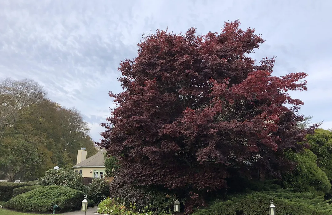 Southampton Inn-1