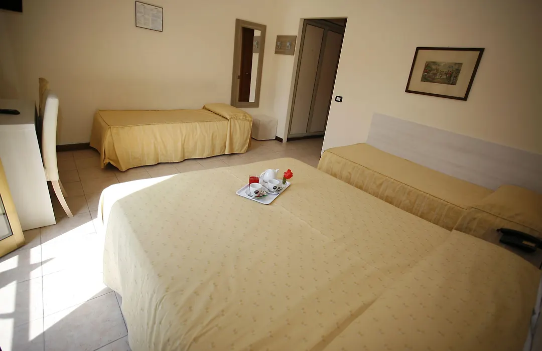 Hotel Adler-1