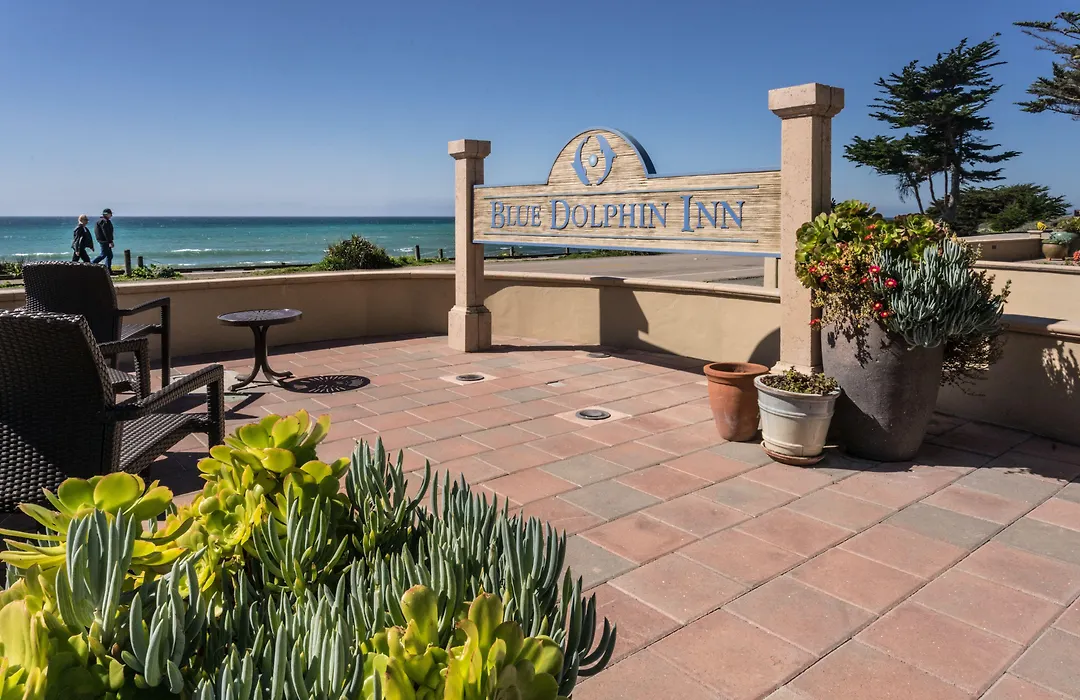 Blue Dolphin Inn-1