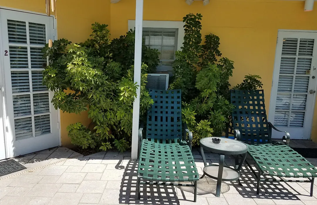 Alexander Palms Court - No Hidden Resort Fees!-1