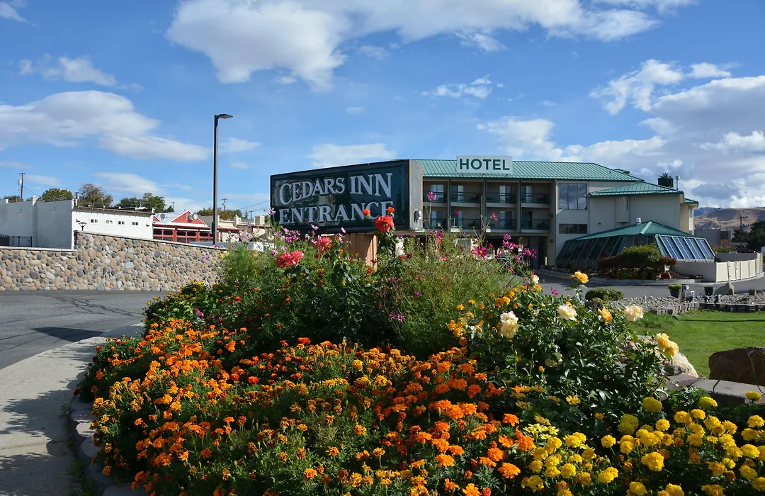 Cedars Inn-1