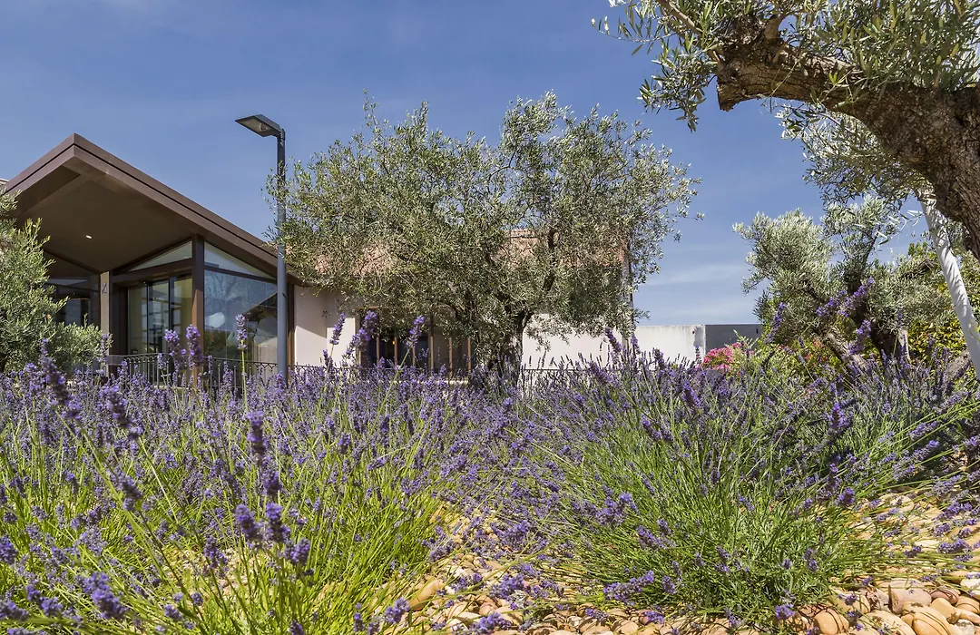 Terre de Provence Hôtel&Spa-1
