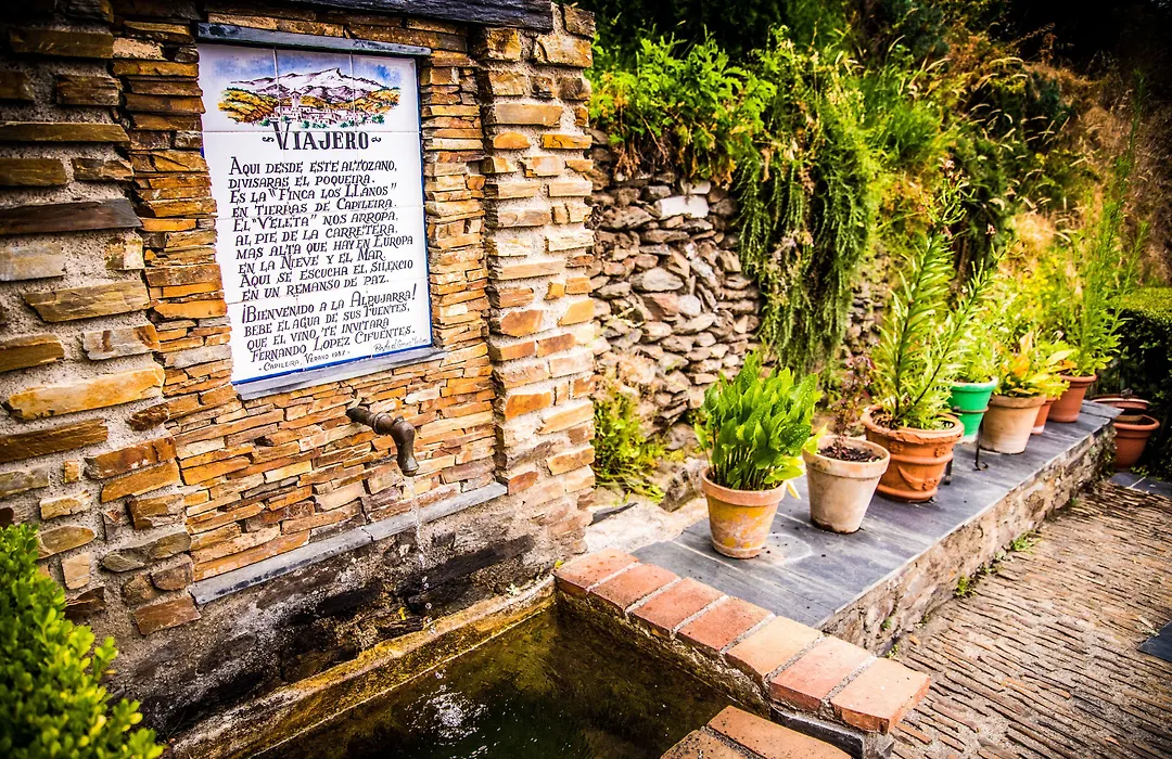 Finca Los Llanos-1