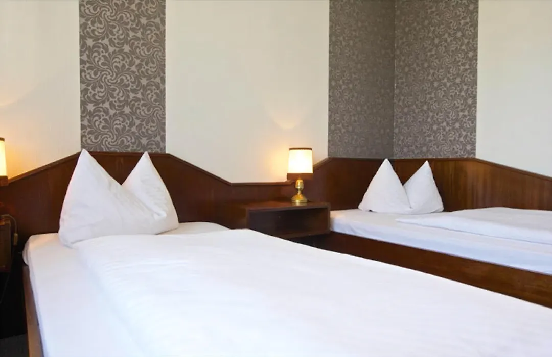 Hotel Garni Geisler-1