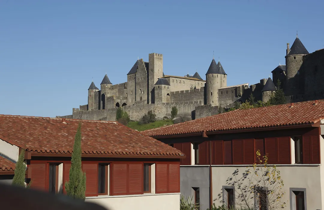 Adonis Carcassonne-1