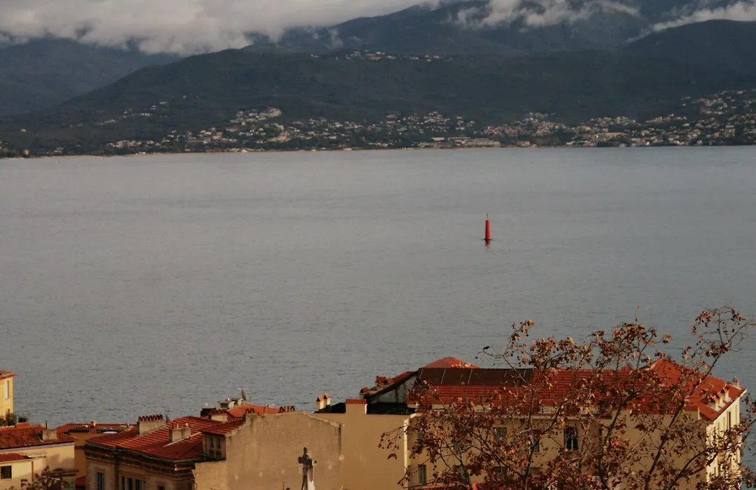 Adonis Ajaccio - Hôtel Albion-1