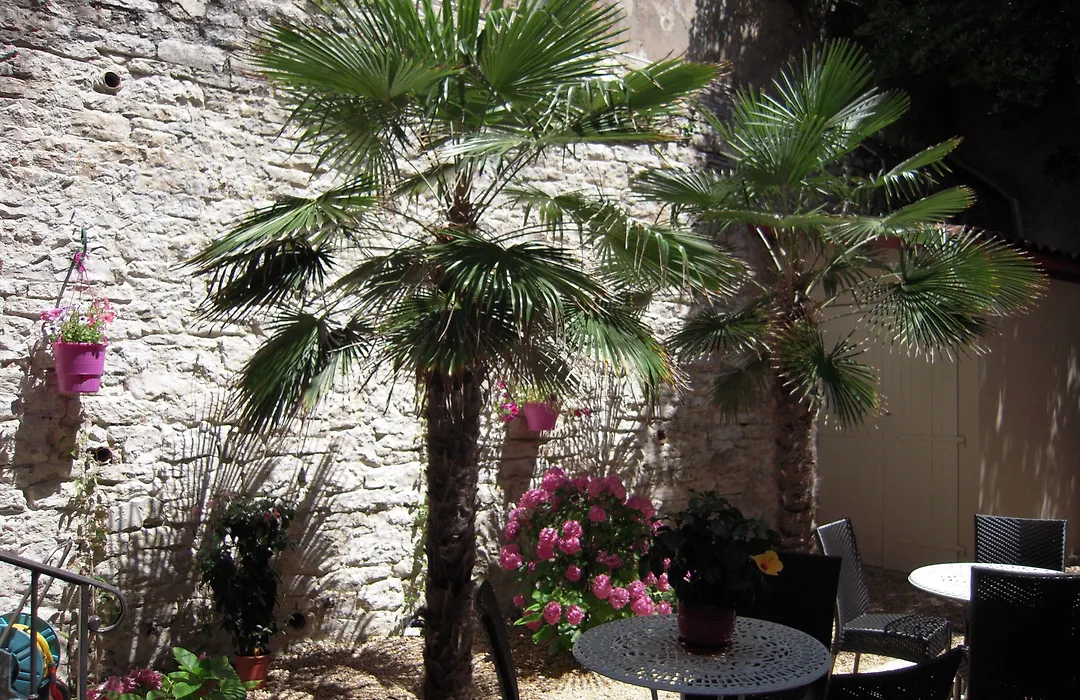 Alfred Hotels Port-Vieux-1