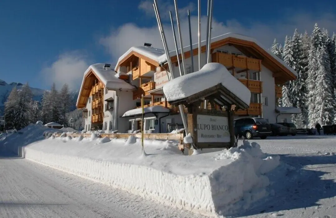 Wellness Hotel Lupo Bianco-1
