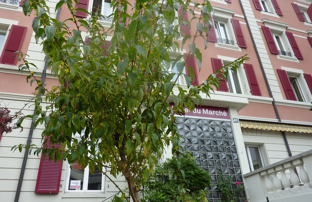 Hôtel du Marché-1