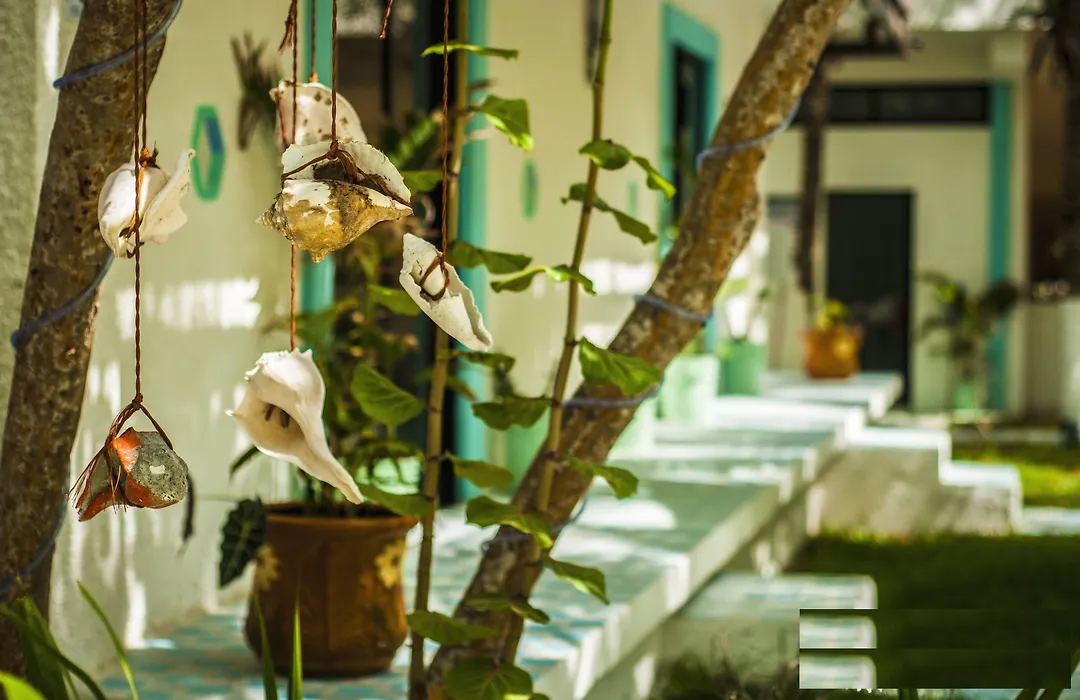 Hotel Villas Tiburon Adults Only-1
