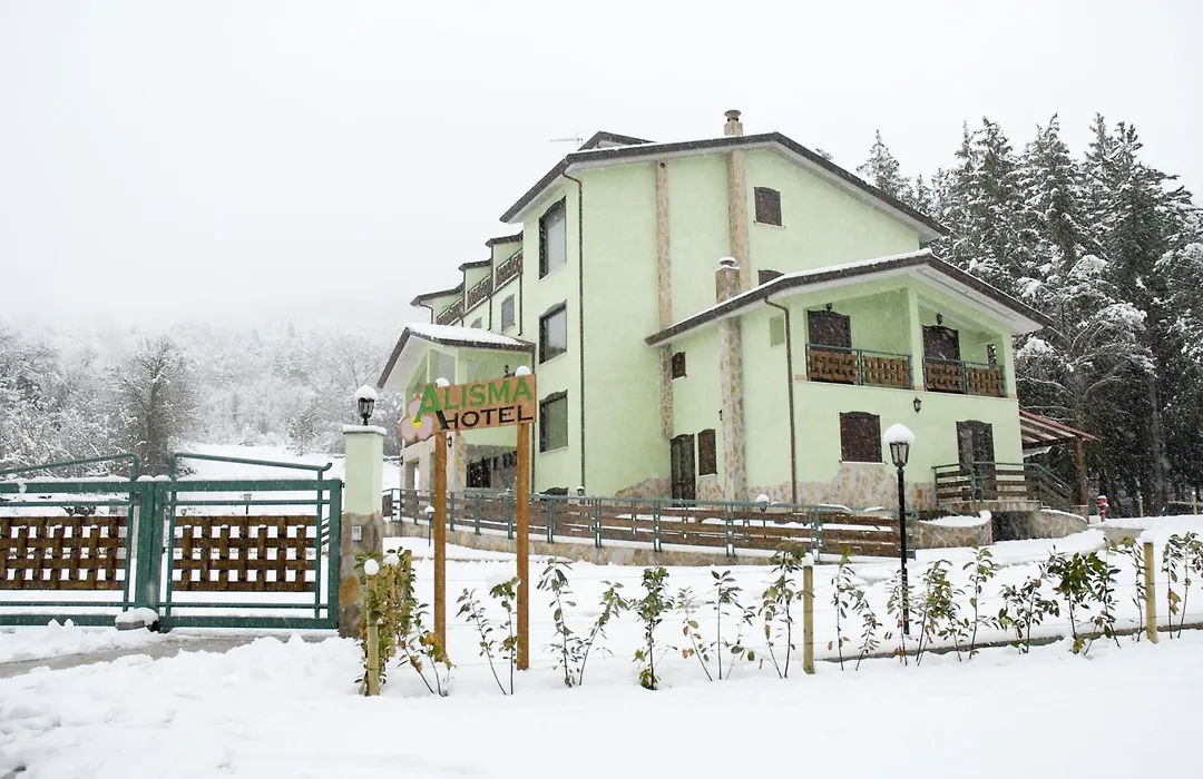 Hotel Alisma-1