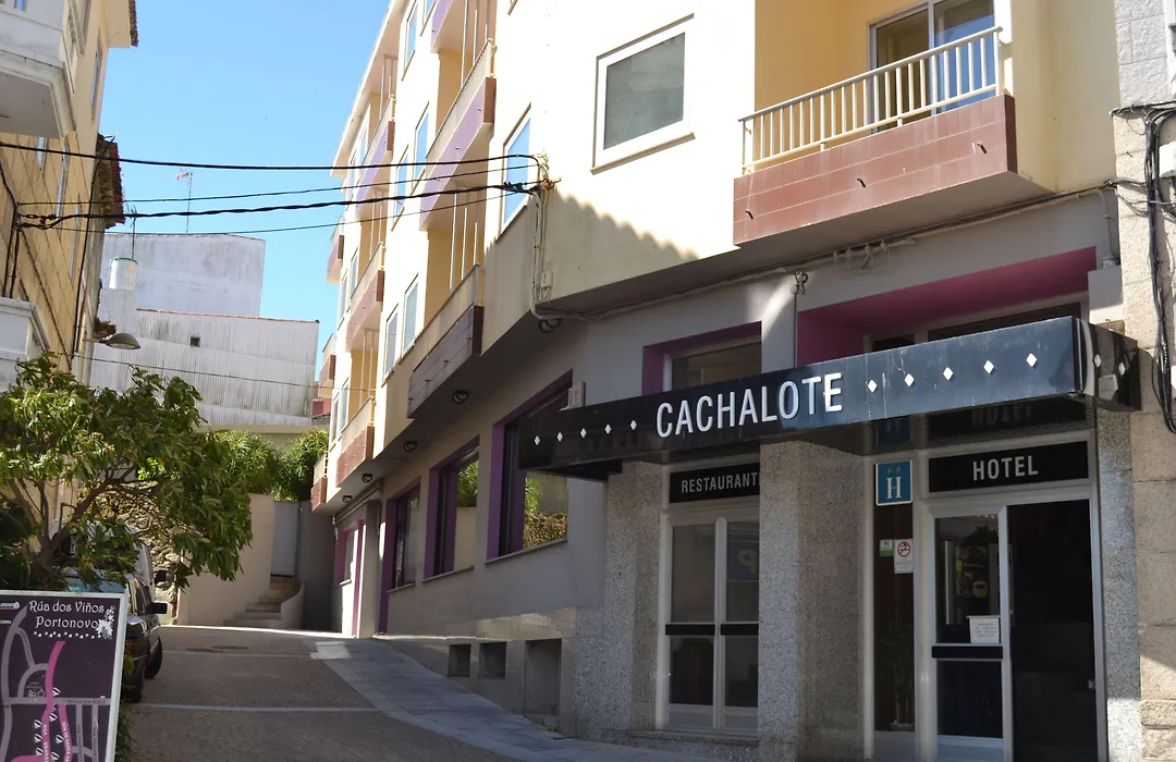 Hotel Nuevo Cachalote-1