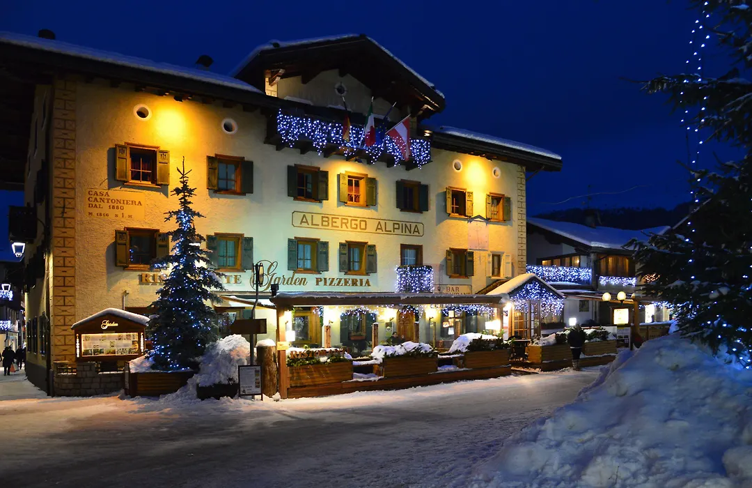 Hotel Alpina-1