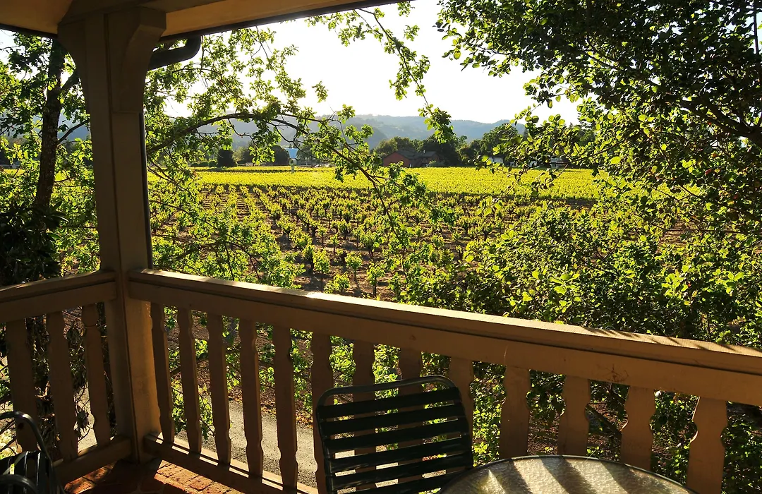 Vineyard Country Inn-1