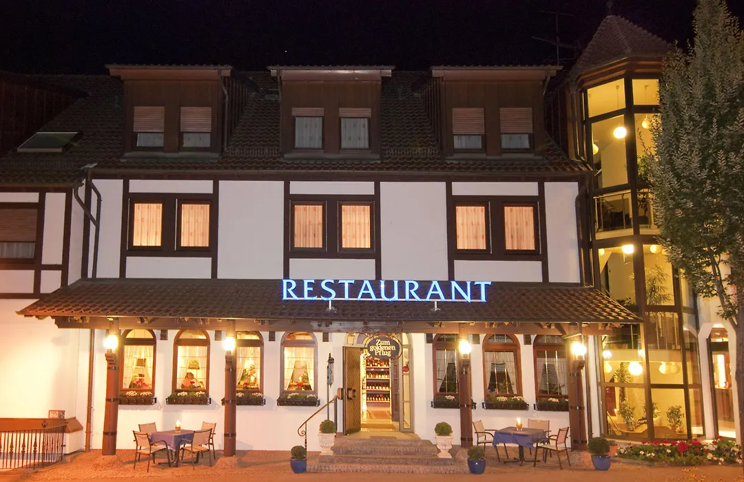Hotel&Restaurant Goldener Pflug-1