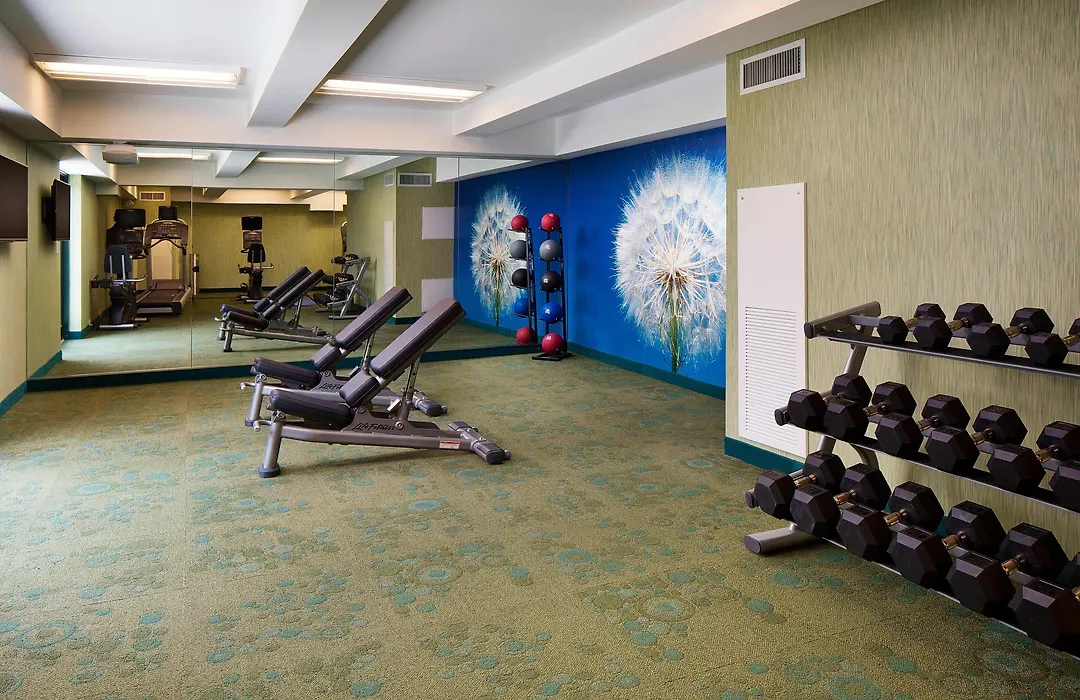 Springhill Suites By Marriott Houston Downtown/Convention Center-1