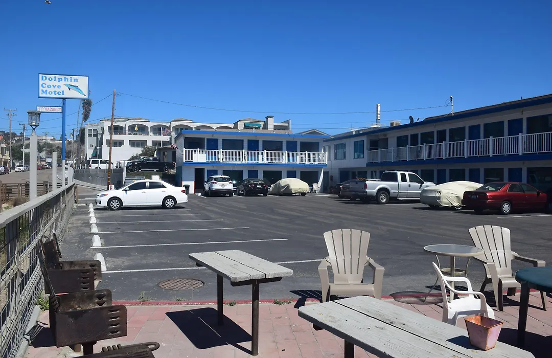Dolphin Cove Motel-1