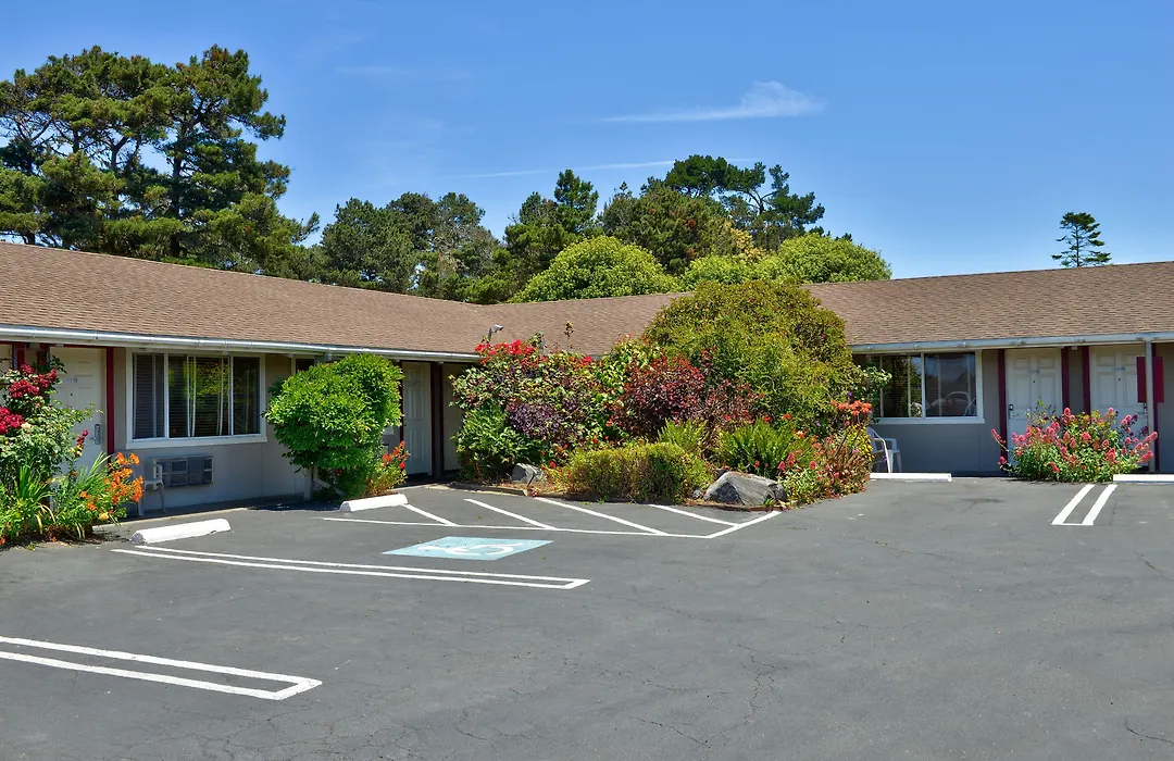Surf Motel And Gardens-1