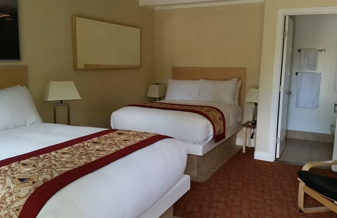 Marin Lodge-1