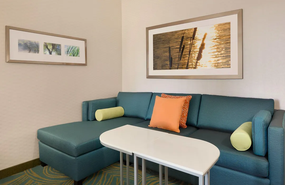 Springhill Suites By Marriott Tuscaloosa-1
