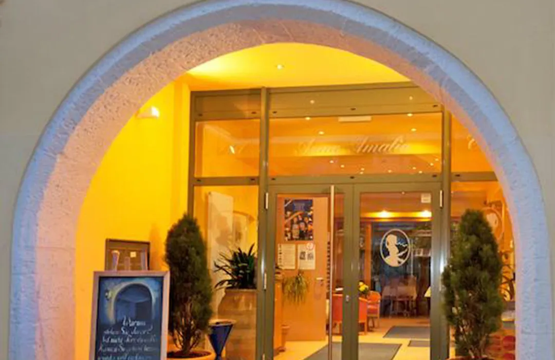 Hotel Anna Amalia-1
