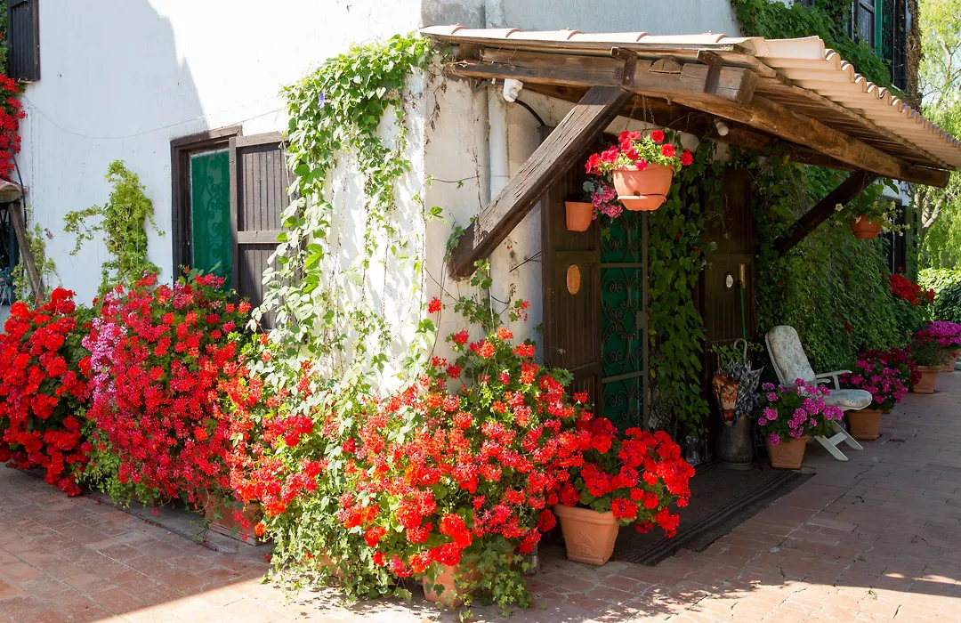 B&B Villa Sans Souci-1
