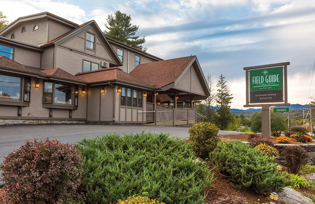 Field Guide Lodge-1