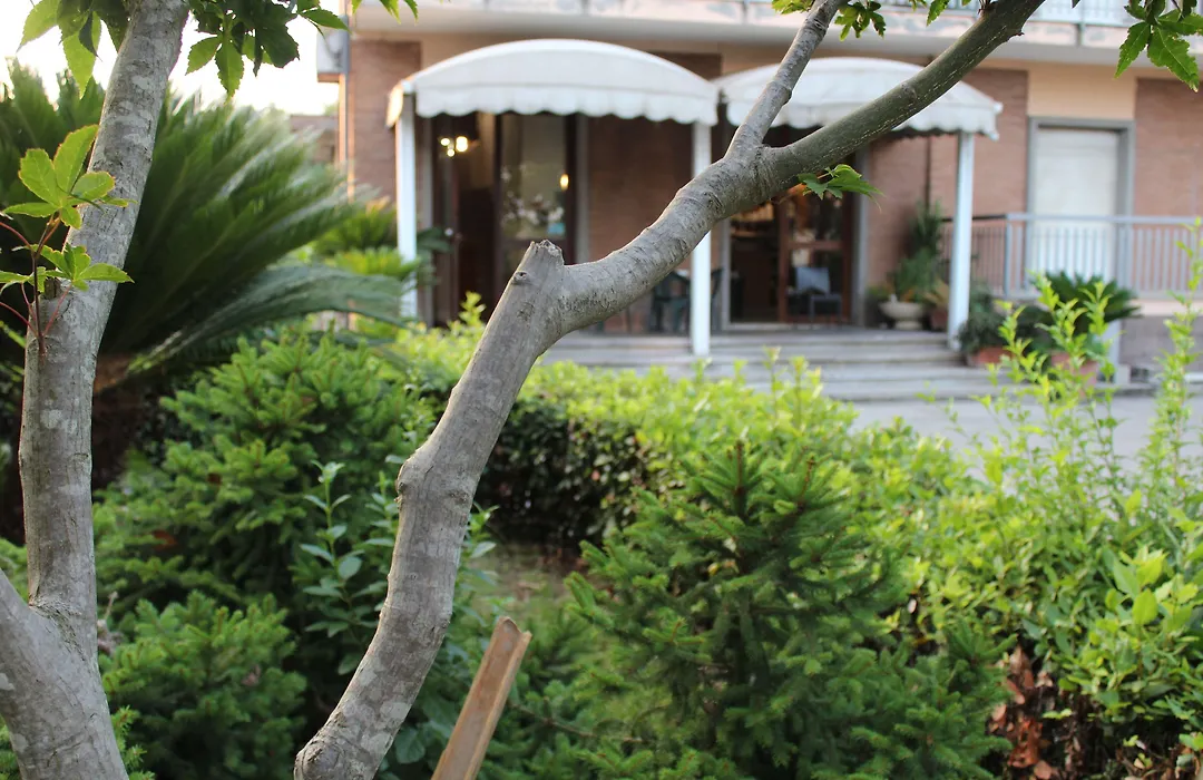 Hotel Diana-1