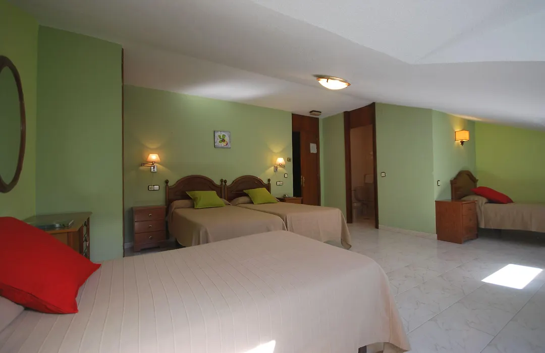 Hotel Principado De Europa-1
