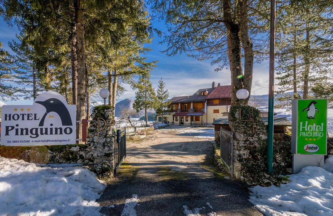 Hotel Pinguino-1