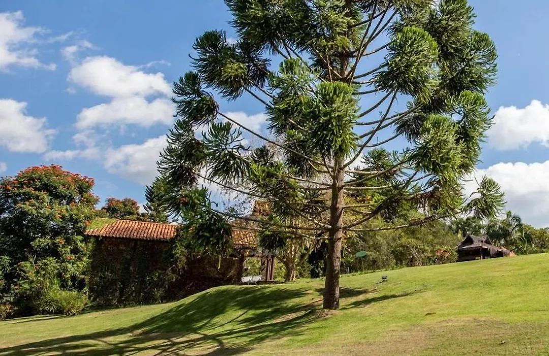Pousada Parador Santarém-1